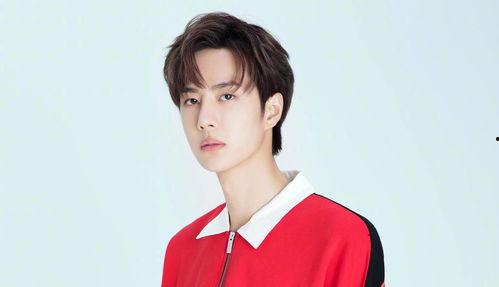 娱乐大爆料苏新皓,揭秘明星幕后故事